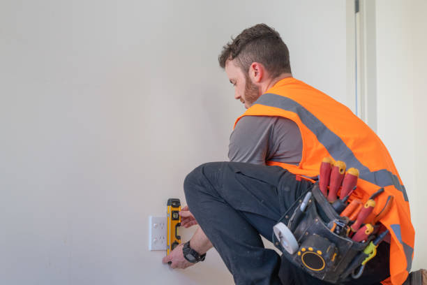 Best Electric Panel Repair  in Summersville, WV
